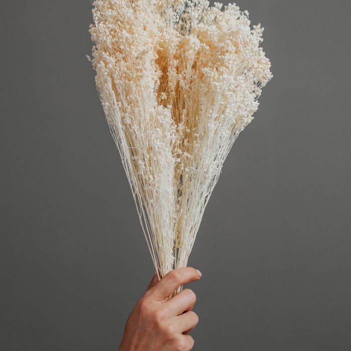 Broom flower - KippKoppDesign